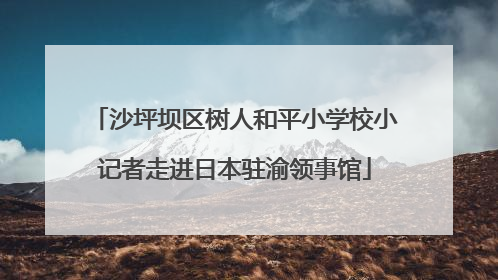 沙坪坝区树人和平小学校小记者走进日本驻渝领事馆