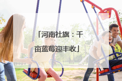 河南社旗：千亩蓝莓迎丰收
