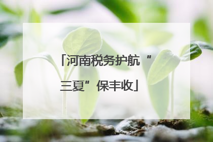 河南税务护航“三夏”保丰收