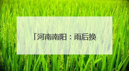 河南南阳：雨后换轨筑牢铁路安全线