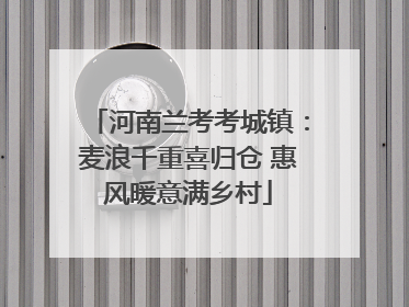 河南兰考考城镇：麦浪千重喜归仓 惠风暖意满乡村