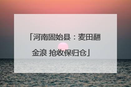 河南固始县：麦田翻金浪 抢收保归仓
