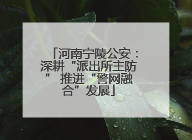 河南宁陵公安：深耕“派出所主防” 推进“警网融合”发展