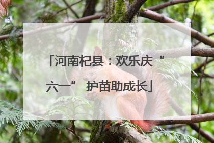 河南杞县：欢乐庆“六一” 护苗助成长