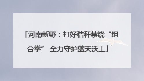 河南新野：打好秸秆禁烧“组合拳” 全力守护蓝天沃土