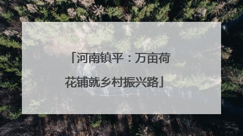 河南镇平：万亩荷花铺就乡村振兴路