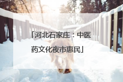 河北石家庄：中医药文化夜市惠民