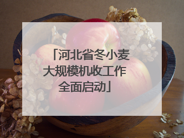 河北省冬小麦大规模机收工作全面启动