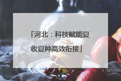 河北：科技赋能夏收夏种高效衔接