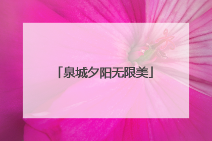 泉城夕阳无限美