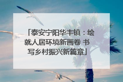 泰安宁阳华丰镇:绘就人居环境新画卷 书写乡村振兴新篇章