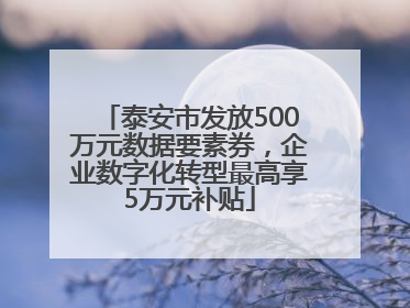 泰安市发放500万元数据要素券，企业数字化转型最高享5万元补贴