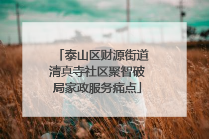 泰山区财源街道清真寺社区聚智破局家政服务痛点