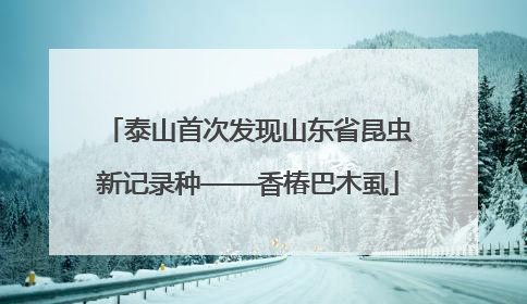 泰山首次发现山东省昆虫新记录种——香椿巴木虱