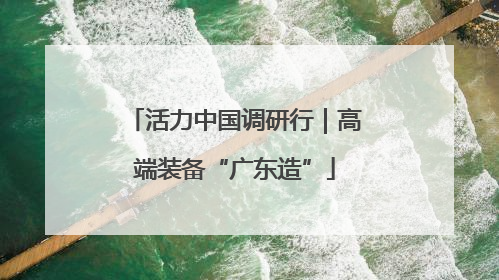 活力中国调研行｜高端装备“广东造”