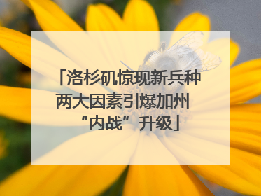 洛杉矶惊现新兵种 两大因素引爆加州“内战”升级