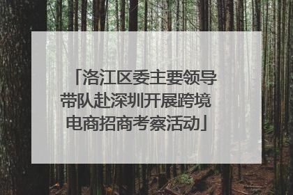 洛江区委主要领导带队赴深圳开展跨境电商招商考察活动