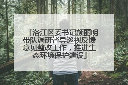 洛江区委书记颜丽明带队调研督导巡视反馈意见整改工作，推进生态环境保护建设
