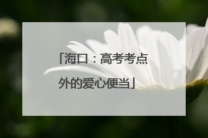 海口：高考考点外的爱心便当
