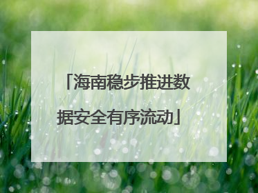 海南稳步推进数据安全有序流动