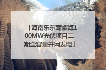 海南乐东莺歌海100MW光伏项目二期全容量并网发电