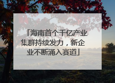 海南首个千亿产业集群持续发力，新企业不断涌入赛道