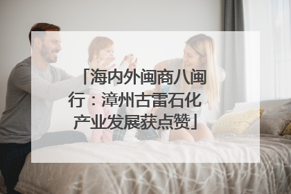 海内外闽商八闽行：漳州古雷石化产业发展获点赞