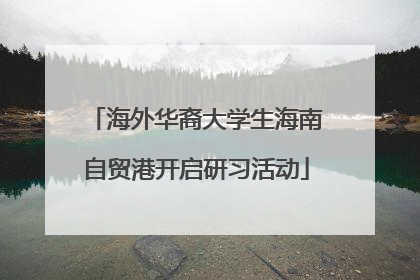 海外华裔大学生海南自贸港开启研习活动