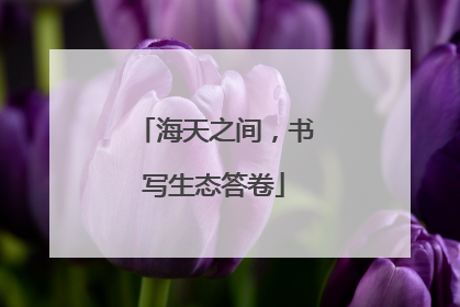 海天之间，书写生态答卷
