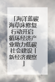 海洋蓝碳海草床修复行动开启 循环经济产业助力低碳社会建设丨新经济观察