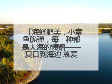 海蛏肥美，小章鱼脆弹，每一种都是大海的馈赠——夏日到海边 就爱那口鲜