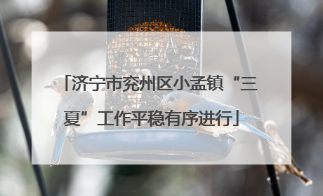 济宁市兖州区小孟镇“三夏”工作平稳有序进行