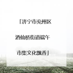 济宁市兖州区酒仙桥街道端午市集文化飘香