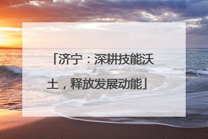 济宁：深耕技能沃土，释放发展动能