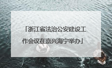 浙江省法治公安建设工作会议在嘉兴海宁举办