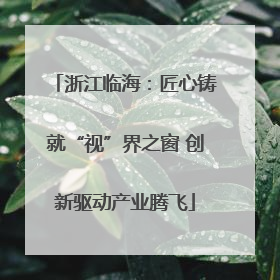 浙江临海：匠心铸就“视”界之窗 创新驱动产业腾飞