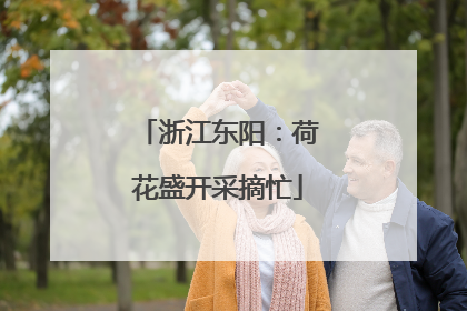 浙江东阳：荷花盛开采摘忙