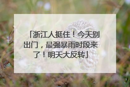 浙江人挺住！今天别出门，最强暴雨时段来了！明天大反转