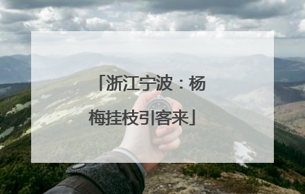 浙江宁波：杨梅挂枝引客来