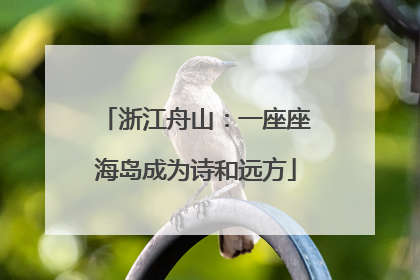 浙江舟山：一座座海岛成为诗和远方
