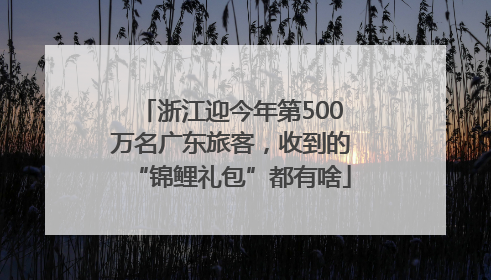 浙江迎今年第500万名广东旅客，收到的“锦鲤礼包”都有啥