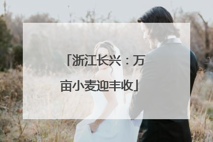 浙江长兴：万亩小麦迎丰收