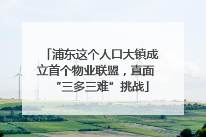 浦东这个人口大镇成立首个物业联盟，直面“三多三难”挑战