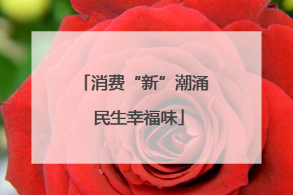 消费“新”潮涌 民生幸福味