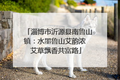 淄博市沂源县南鲁山镇：水墨鲁山艾韵浓 艾草飘香共富路