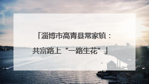 淄博市高青县常家镇：共富路上“一路生花”