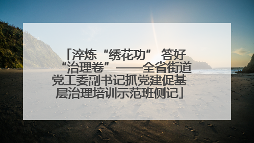 淬炼“绣花功” 答好“治理卷”——全省街道党工委副书记抓党建促基层治理培训示范班侧记
