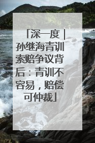 深一度｜孙继海青训索赔争议背后：青训不容易，赔偿可仲裁