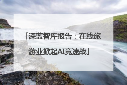 深蓝智库报告：在线旅游业掀起AI竞速战