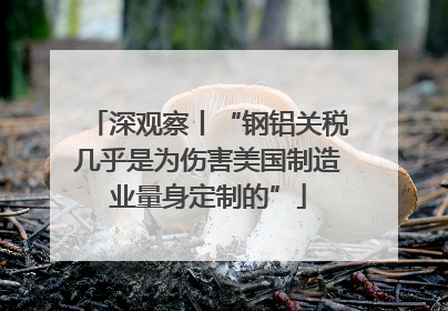 深观察丨“钢铝关税几乎是为伤害美国制造业量身定制的”